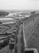 Castillo de Medelln. Medelln, Badajoz